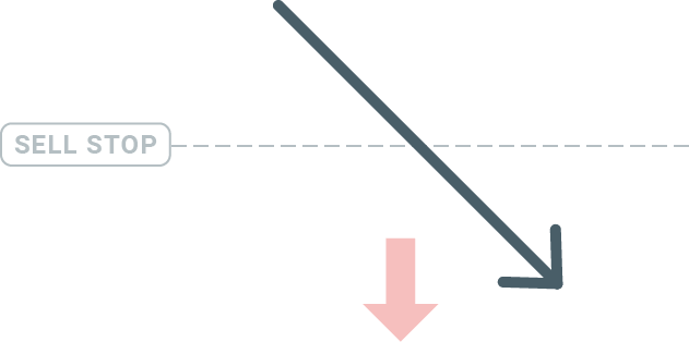 How to Trade Forex and Withdraw from XM How to Trade Forex and Withdraw from XM